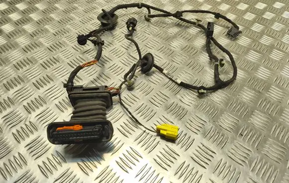 Volkswagen PASSAT B6 Front door wiring loom 3C0971615
