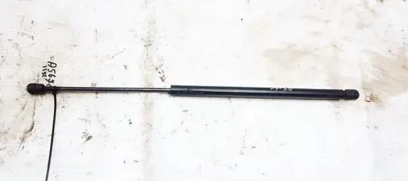 Tailgate/trunk strut/damper