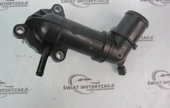 Thermostat/thermostat housing