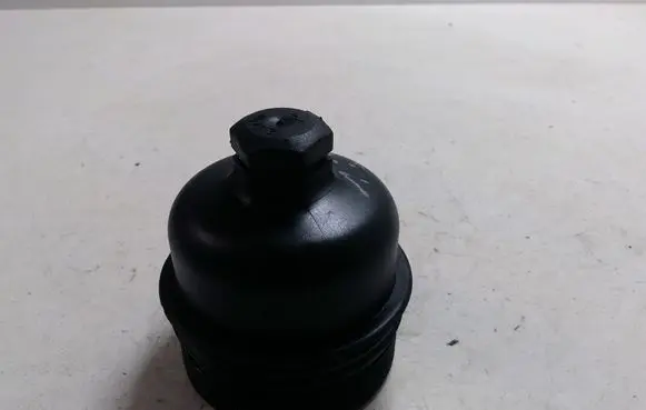 Citroen C5 Oil filter cover 9878307