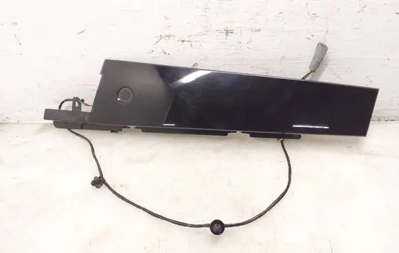 Ford Mustang Mach-E (B) Pillar trim (exterior) LJ8BR224B00BB 1015459401 LJ8BR20898BDW