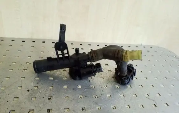 Thermostat/thermostat housing