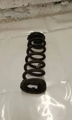 Land Rover Discovery Sport Rear coil spring FK725B749FB