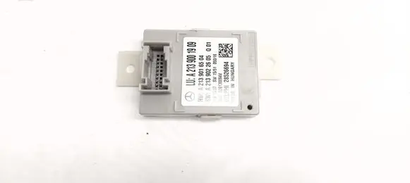Light module LCM