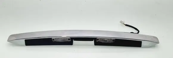 Trunk door license plate light bar