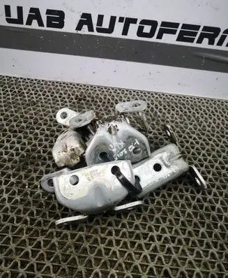 Hyundai i20 (PB PBT) Front door hinge set 