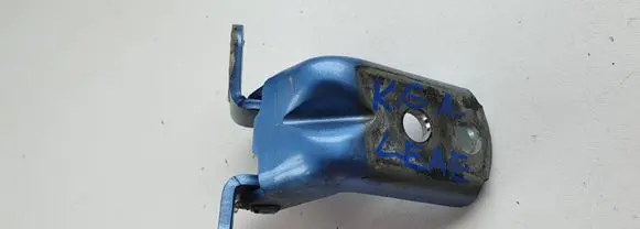 Nissan Leaf I (ZE0) Rear door lower hinge