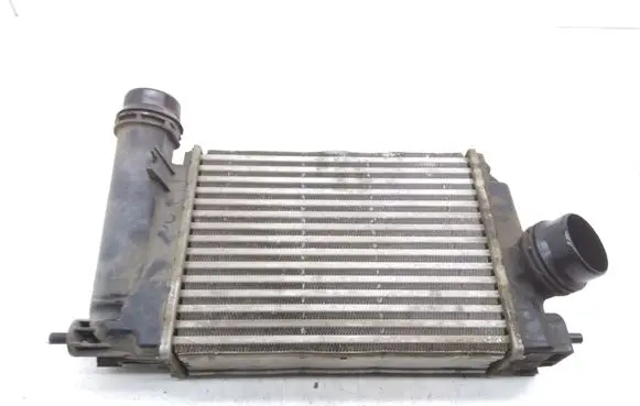 Renault Kadjar Intercooler radiator 144614ea1b