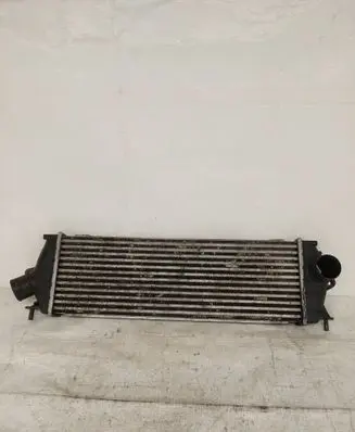 Opel Vivaro Intercooler radiator 8200411160C