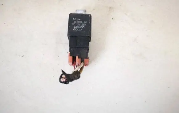Hyundai Santa Fe Other relay BBWBA01 ALSA