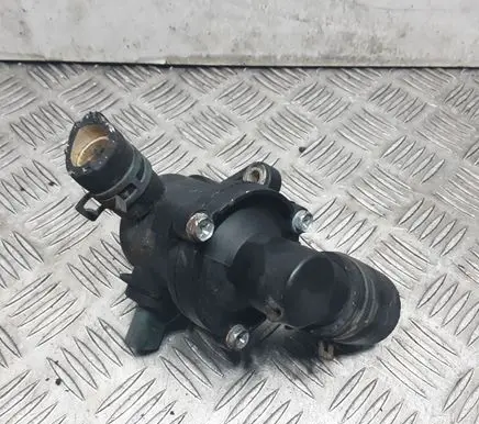 Thermostat/thermostat housing