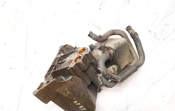 Porsche Cayenne (9PA) Engine mounting bracket