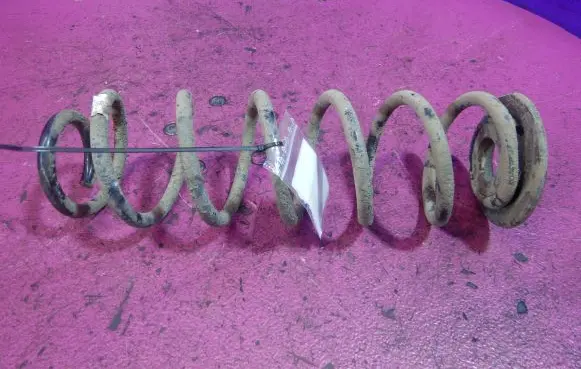 Skoda Octavia Mk3 (5E) Rear coil spring