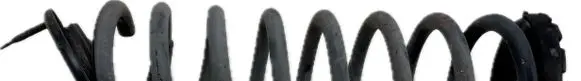 Hyundai Genesis Rear coil spring 55350B1510