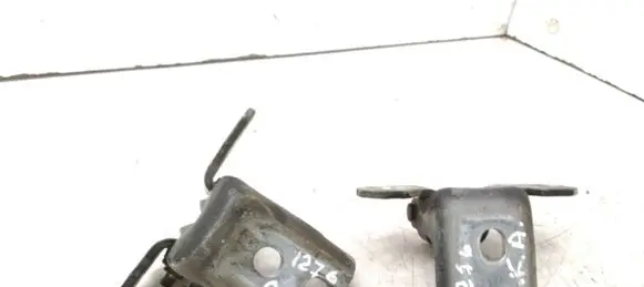Renault Latitude (L70) Rear door hinge set TLFRAN