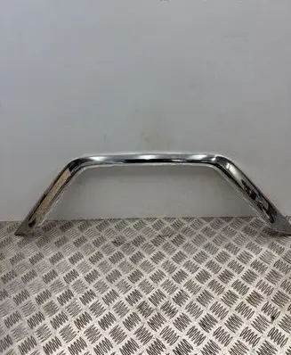 Nissan Leaf II (ZE1) Front bumper splitter molding 6202A1900