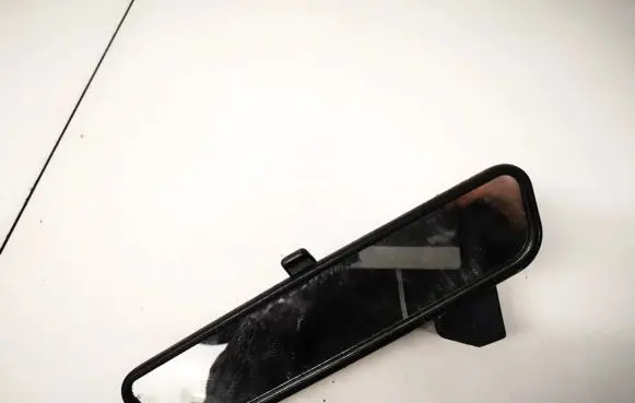 KIA Rio Rear view mirror (interior) e402806