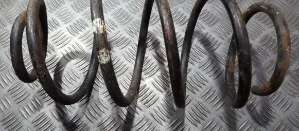 Front coil spring
