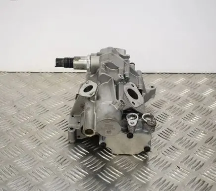 Porsche Cayenne (9PA) Oil pump 