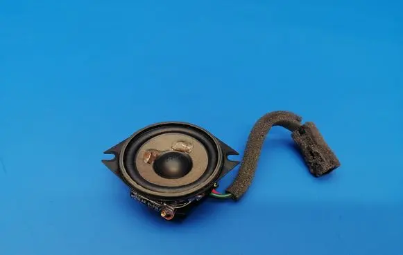 Front door high frequency speaker
