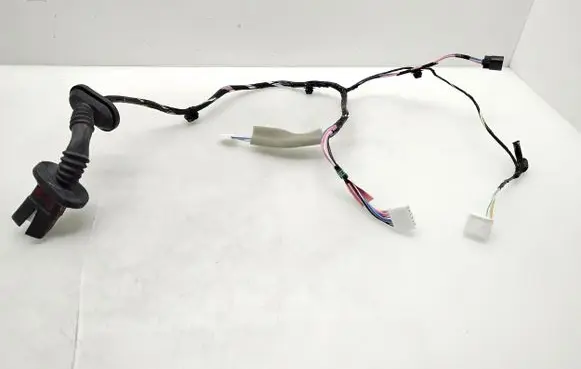 Rear door wiring loom