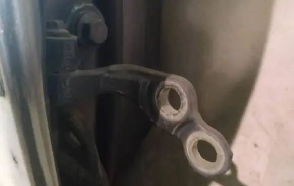 Rear door lower hinge