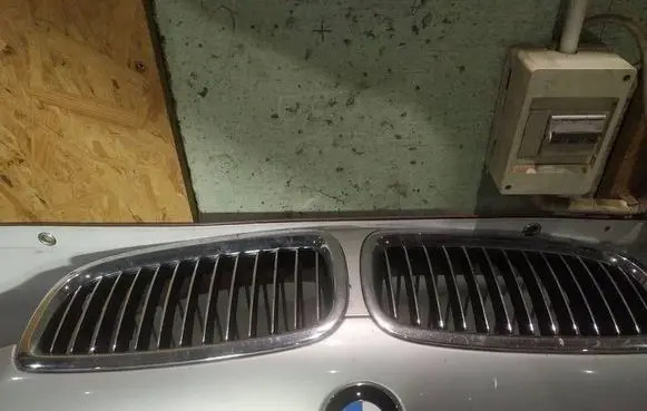 Front grill