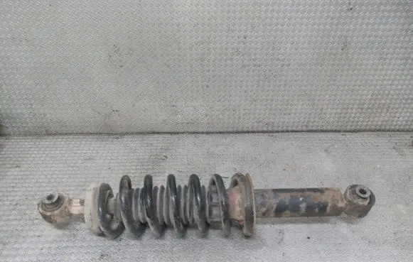Peugeot 407 Rear shock absorber with coil spring 