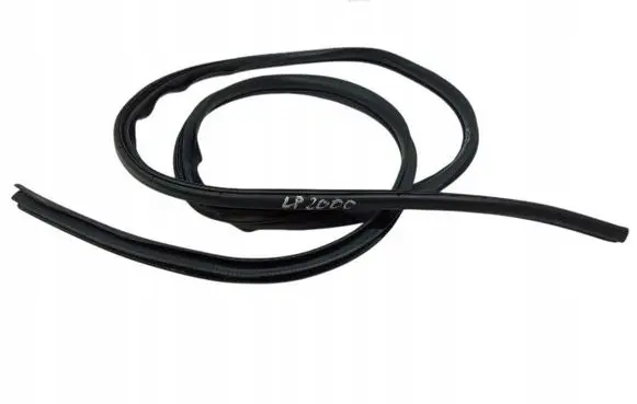 Mitsubishi Lancer VIII Rubber seal front door (on door) 
