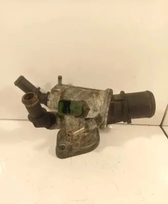 Thermostat/thermostat housing