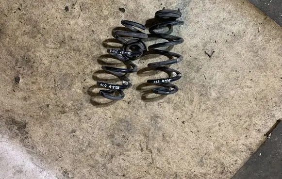 Rear coil spring