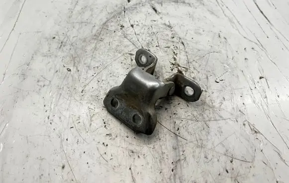 Toyota RAV 4 (XA30) Front door lower hinge 