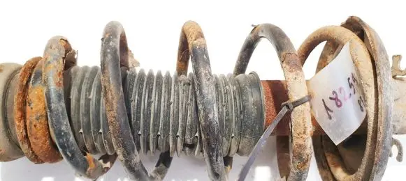 Seat Leon (1M) Front coil spring