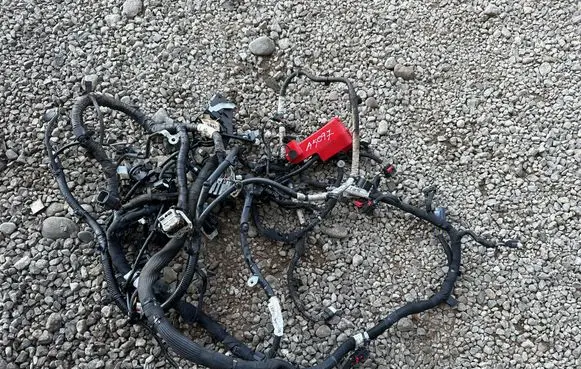 Ford Kuga III Engine installation wiring loom Mx6t14305 Lx6t12c508