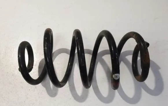 Rear coil spring