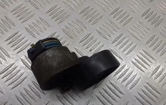 Renault Megane II Alternator belt tensioner pulley 