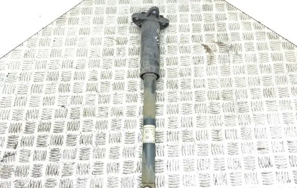 Alfa Romeo Giulia Rear shock absorber/damper 50559663 844904014521