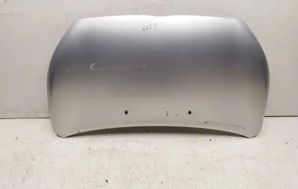 Engine bonnet/hood