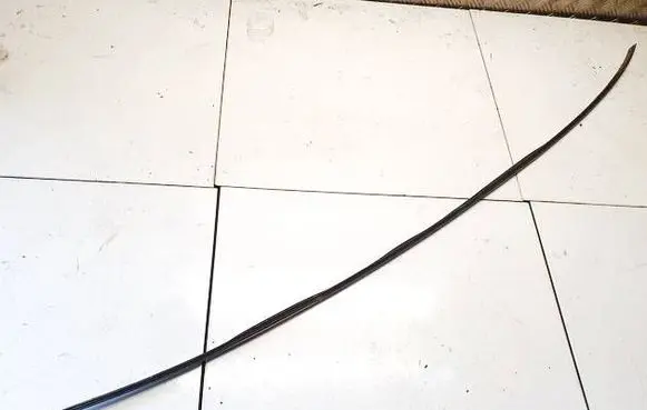 Skoda Superb B5 (3U) Front door glass trim molding 