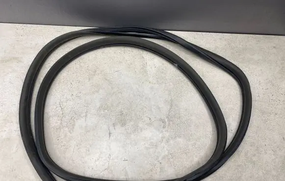 Nissan Pathfinder R51 Rear door rubber seal (on body) 