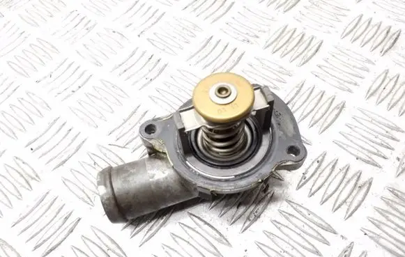Thermostat/thermostat housing