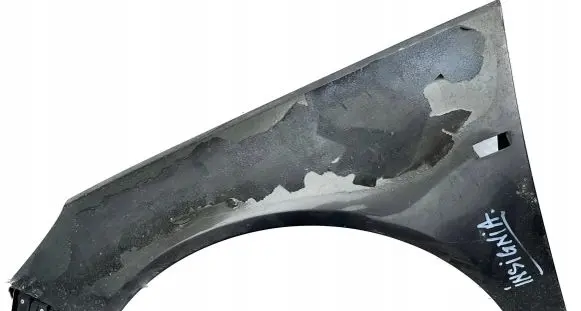 Opel Insignia A Fender