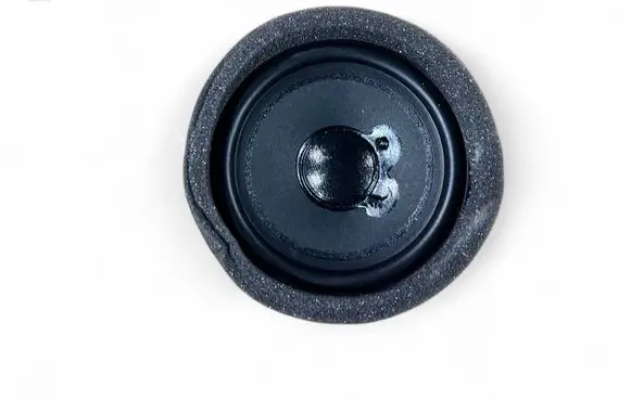 Rear door speaker