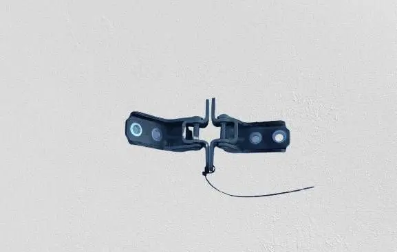 Hyundai Kona I Front door lower hinge 