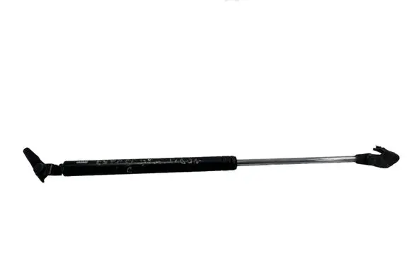 Tailgate/trunk strut/damper