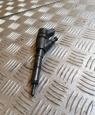 Citroen Berlingo Fuel injector 0445110062 9640088780