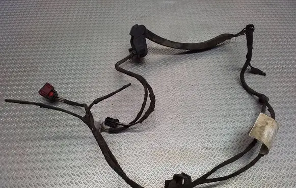 Fiat Ducato Rear door wiring loom 1343884080