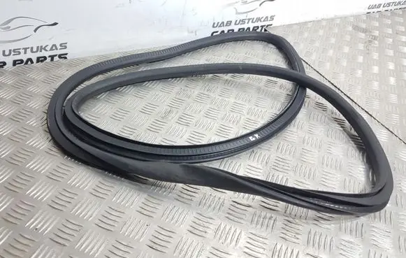Opel Insignia A Rear door rubber seal (on body) 0422518308