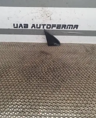 Nissan Murano Z51 Front door glass trim molding C78