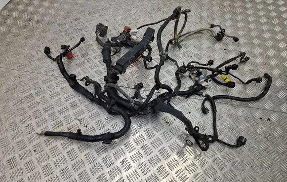 Renault Koleos I Engine installation wiring loom 24360JG70A